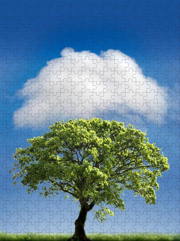 Tree Jigsaw Puzzle featuring the photograph Cloud Cover by Mal Bray
