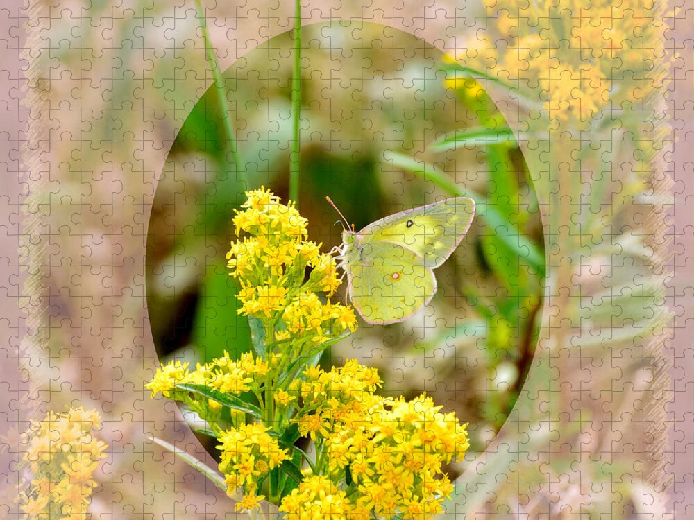 Butterfly Jigsaw Puzzle featuring the digital art Clouded Sulphur Butterfly Sipping Nectar by Kae Cheatham