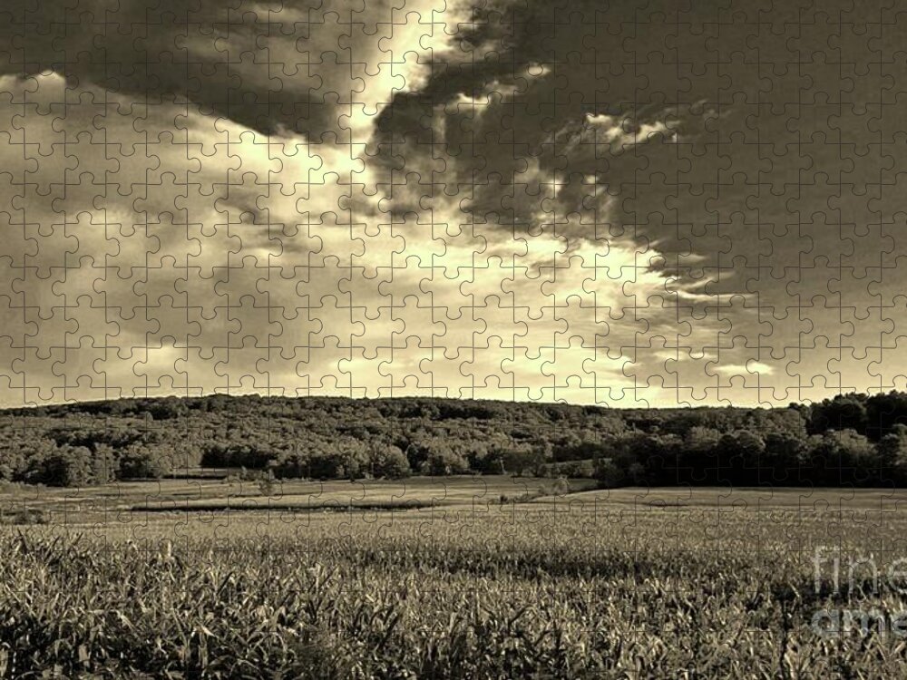 Farm Jigsaw Puzzle featuring the photograph Clouds and Cornfields by Dani McEvoy