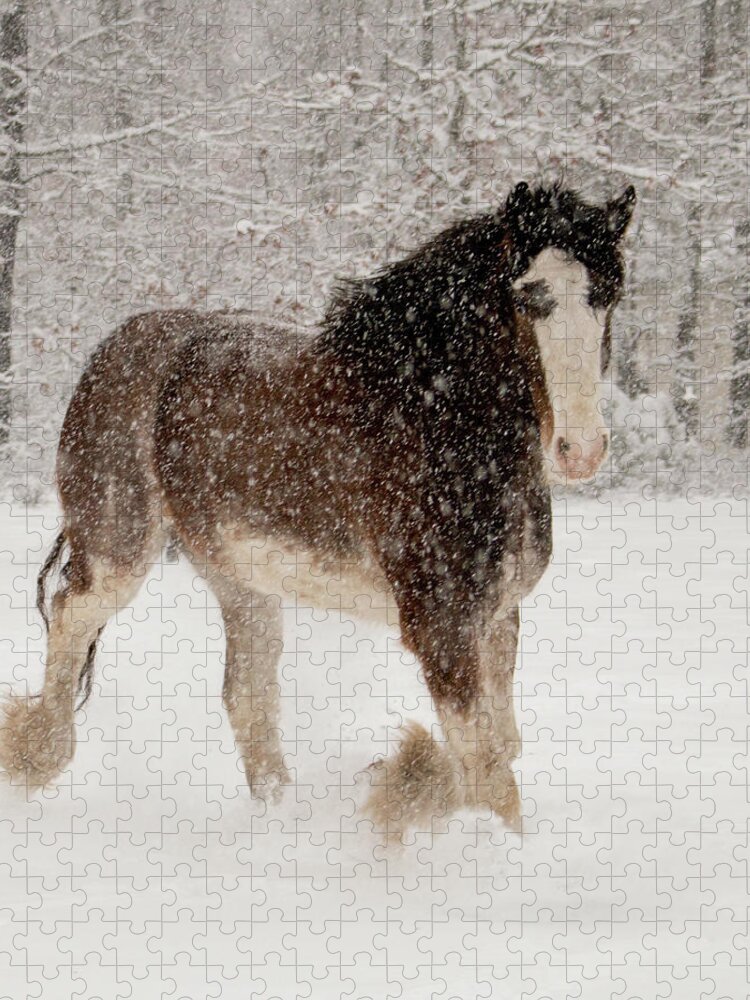 Horses Jigsaw Puzzle featuring the photograph Clydesdale In The Snow by Kristia Adams