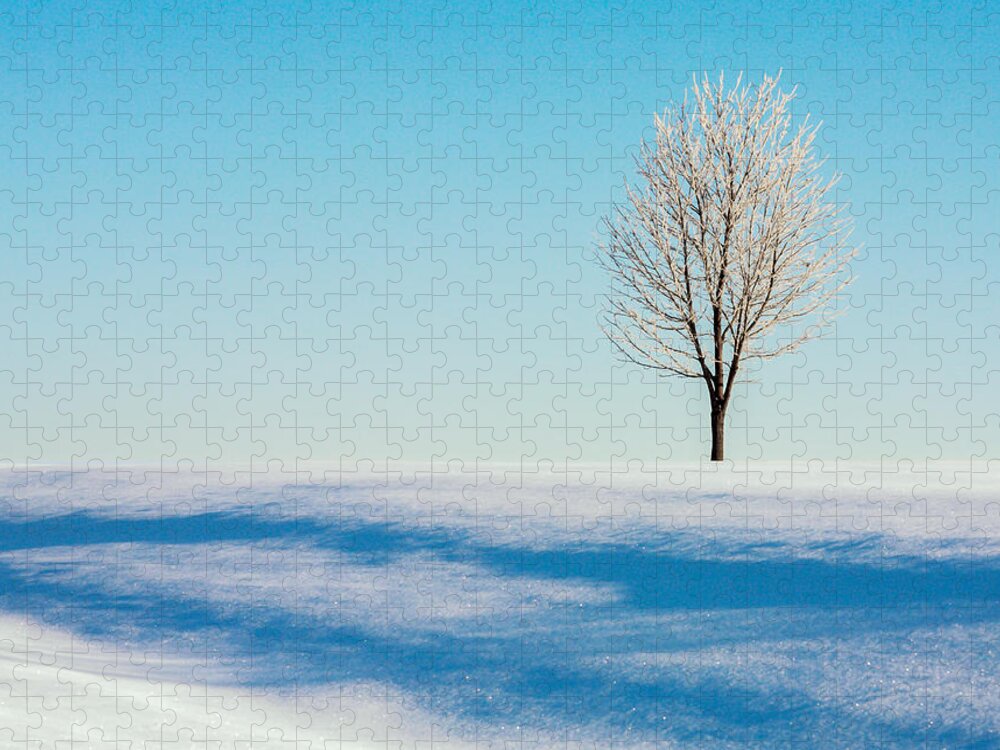 Winter Jigsaw Puzzle featuring the photograph Cold Snap by Todd Klassy