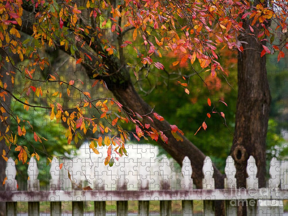 Colonial Williamsburg Jigsaw Puzzle featuring the photograph Colonial Fall Colors by Rachel Morrison