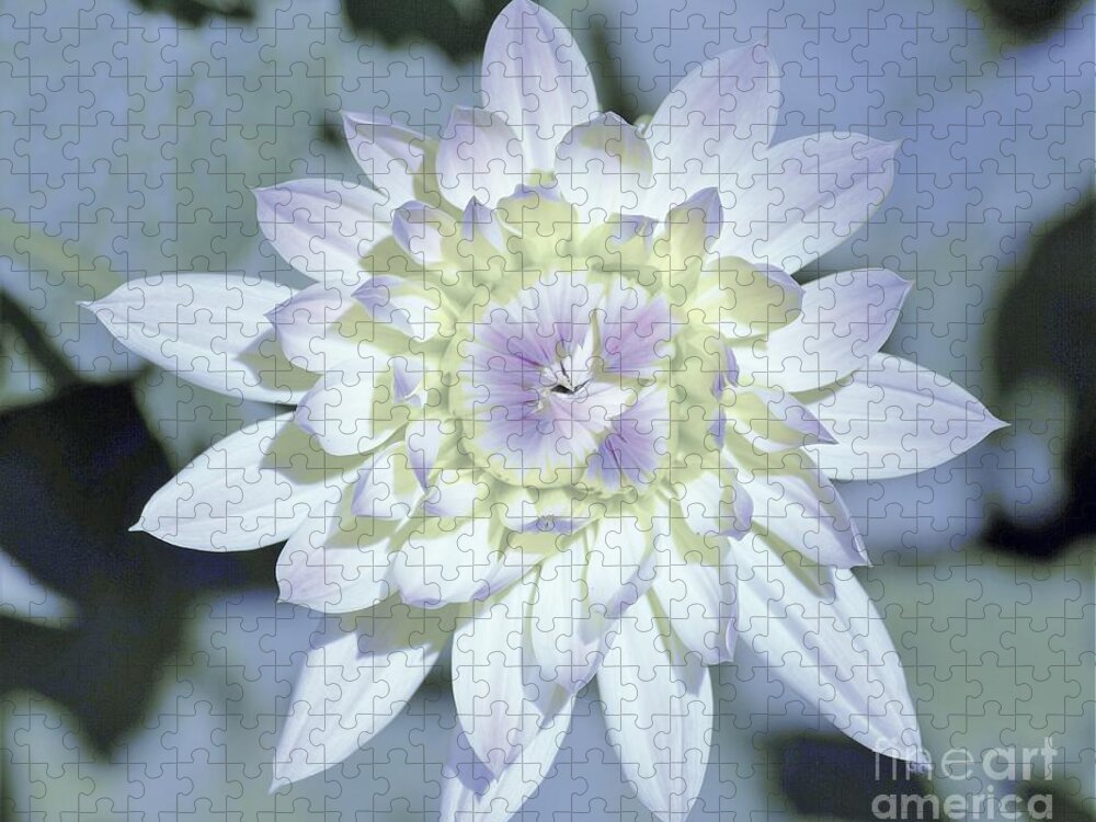 Flowers Jigsaw Puzzle featuring the photograph Color Me by Merle Grenz