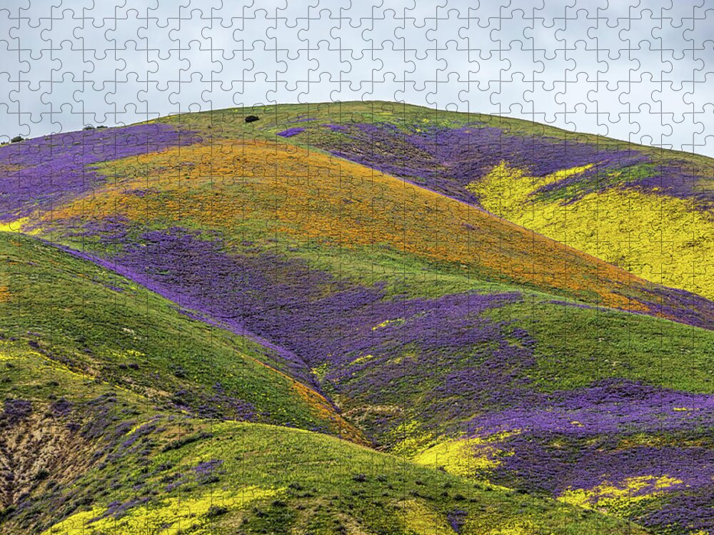 Blm Jigsaw Puzzle featuring the photograph Color Mountain I by Peter Tellone