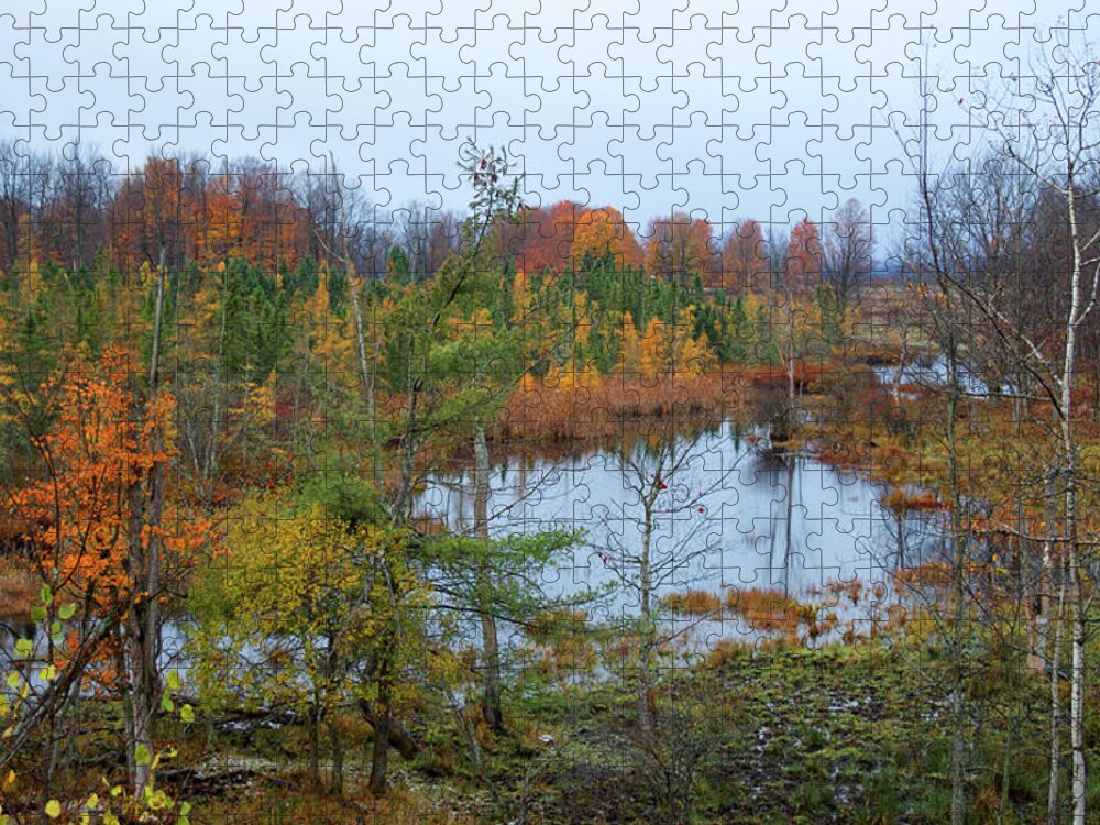 Lake Jigsaw Puzzle featuring the photograph Color on the Betsie by Linda Kerkau