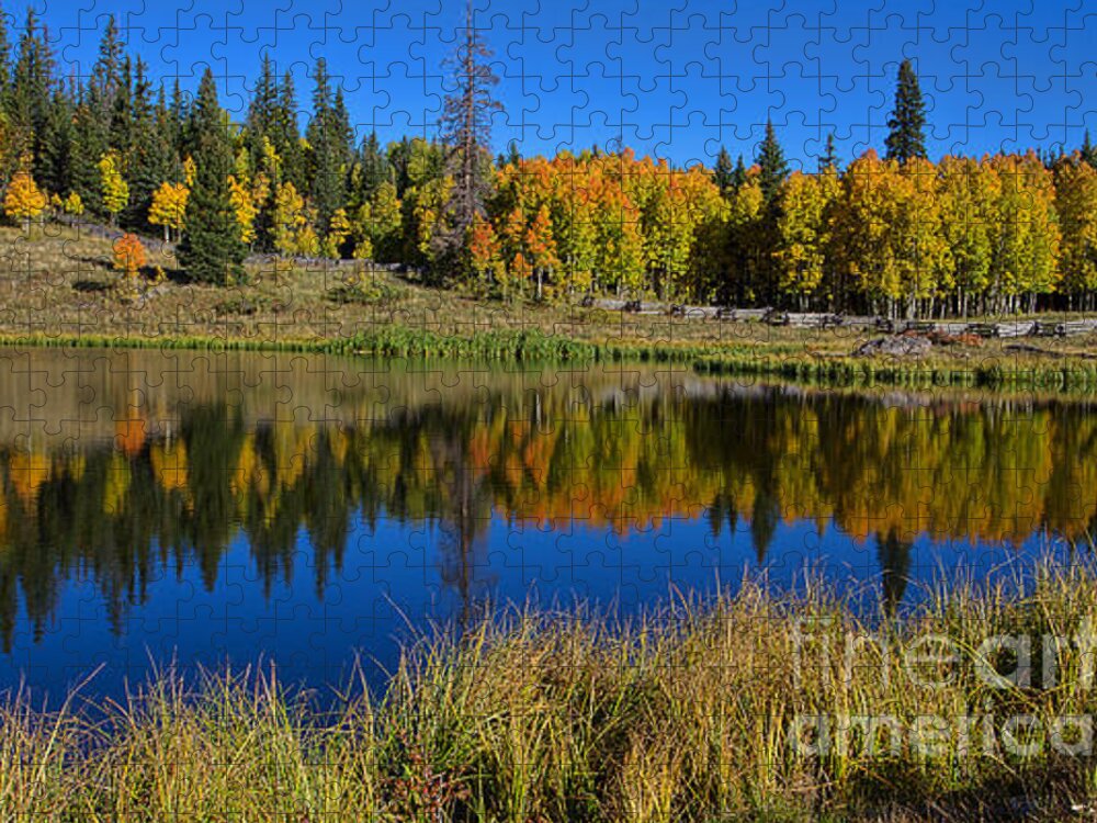Autumn Reflection Jigsaw Puzzle featuring the photograph Colorado Autumn Morning by Jim Garrison