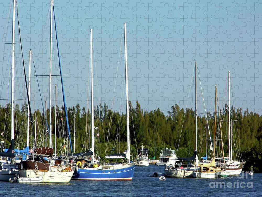 Dock Jigsaw Puzzle featuring the photograph Colorful Boats In The Indian River Lagoon by D Hackett