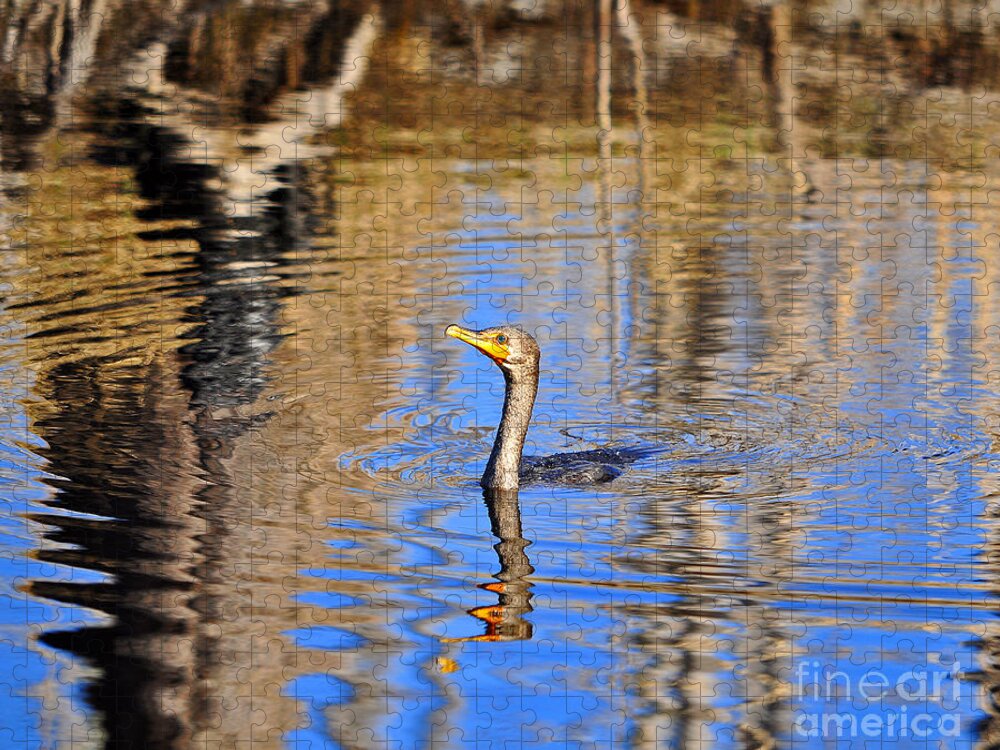 Double Crested Cormorant Jigsaw Puzzle featuring the photograph Colorful Cormorant by Al Powell Photography USA
