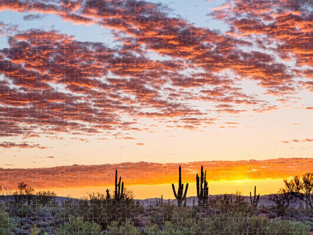 Desert Jigsaw Puzzle featuring the photograph Colorful Sonoran Desert Sunrise by James BO Insogna