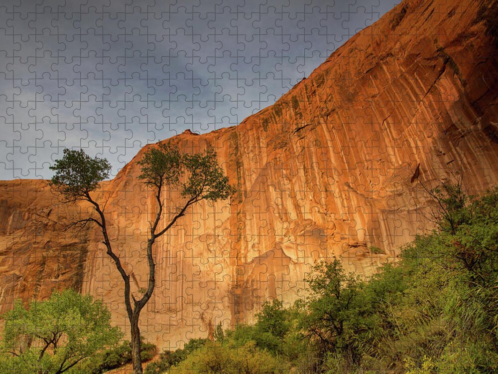 Coyote Gulch Jigsaw Puzzle featuring the photograph Colors of bliss by Kunal Mehra