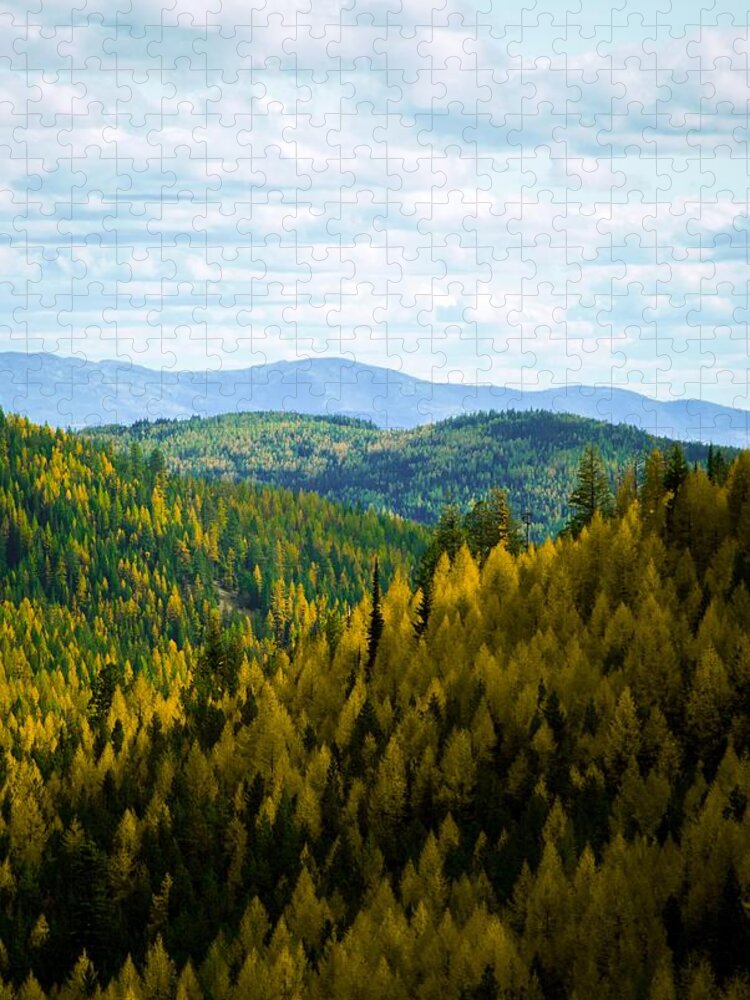 Sherman Pass Jigsaw Puzzle featuring the photograph Colors of Sherman's Pass by Troy Stapek