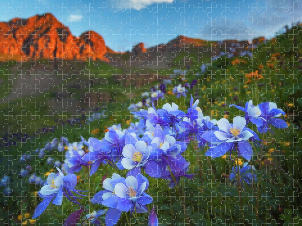 Colorado Jigsaw Puzzle featuring the photograph Columbine Sunrise by Darren White
