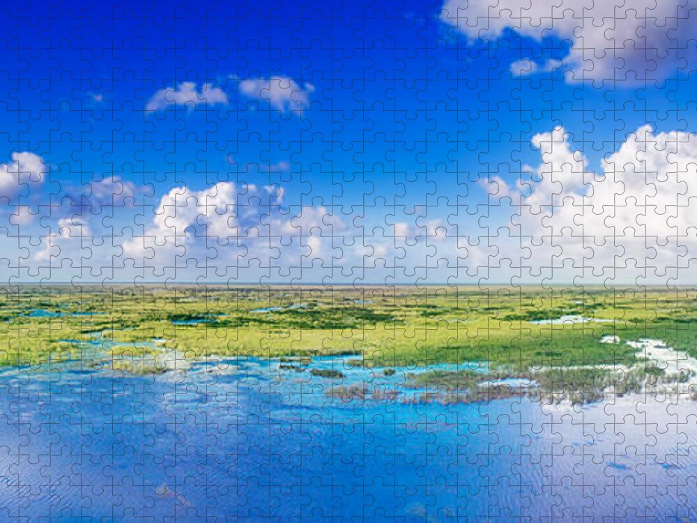 Everglades Jigsaw Puzzle featuring the photograph Fly Away by Mark Andrew Thomas
