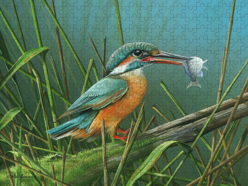 Common Kingfisher Jigsaw Puzzle featuring the painting Common Kingfisher by Mike Brown
