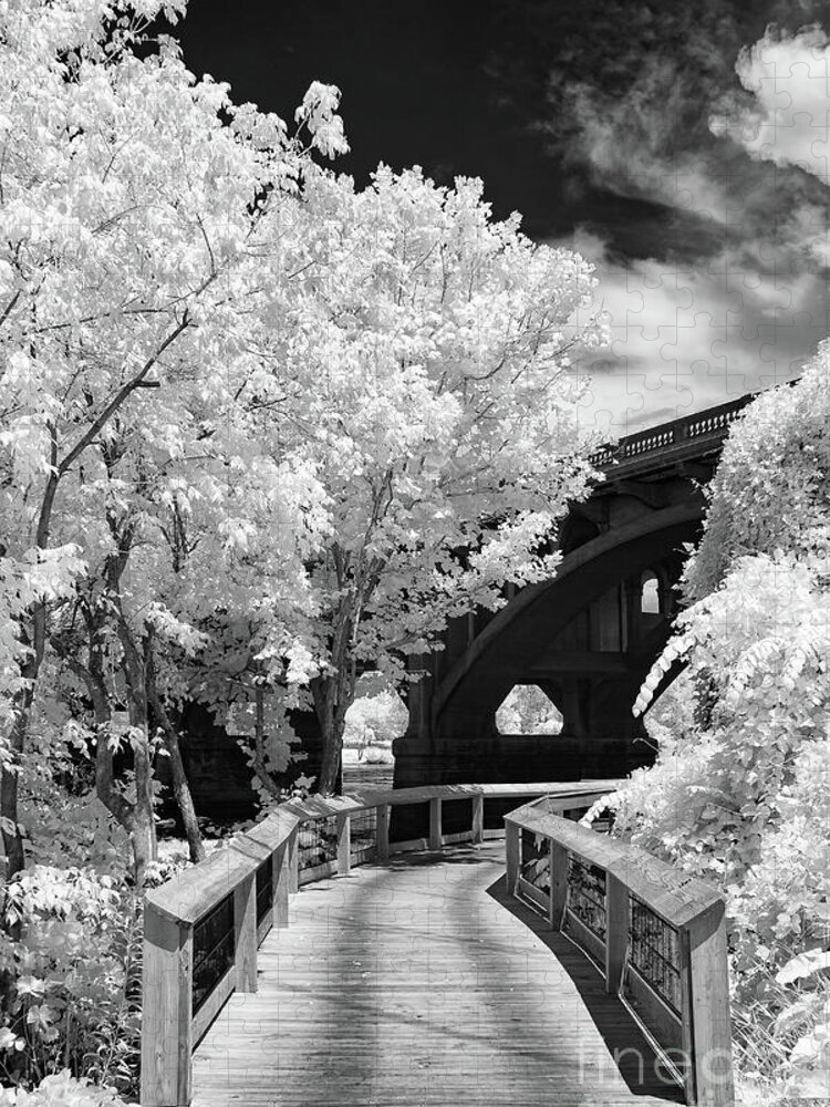Congaree River Jigsaw Puzzle featuring the photograph Congaree River Boardwalk by Charles Hite