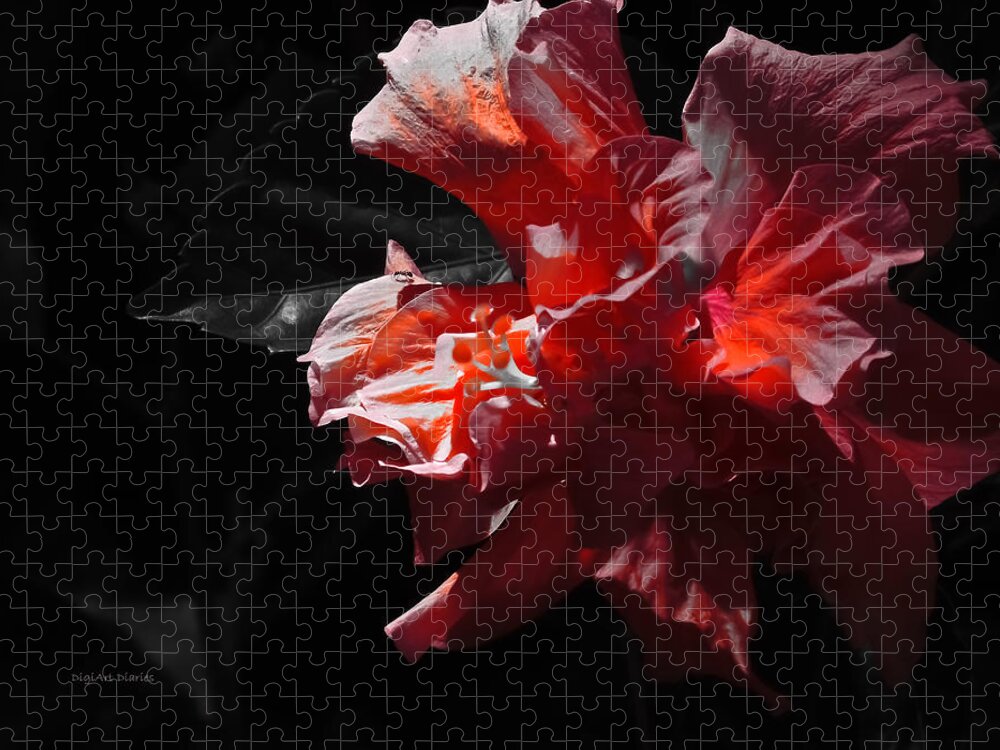 Hibiscus Jigsaw Puzzle featuring the photograph Coral and Black by DigiArt Diaries by Vicky B Fuller