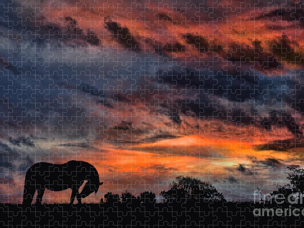 Horse Jigsaw Puzzle featuring the photograph Country Sunrise by Stephanie Laird