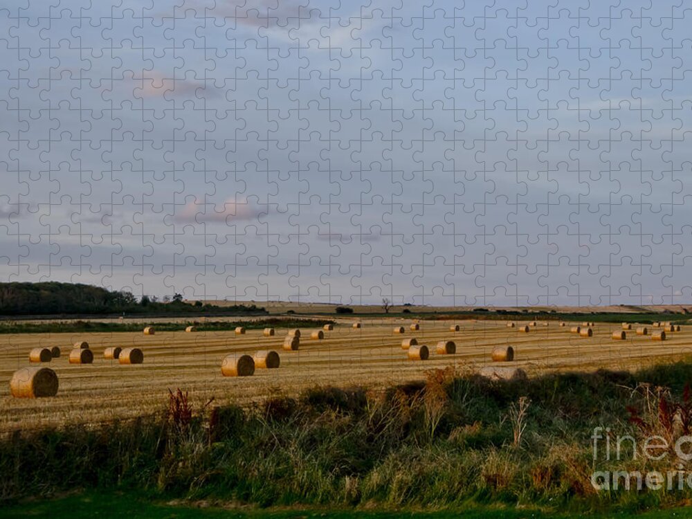 Countryside Landscape Jigsaw Puzzle featuring the photograph Countryside. Autumn. by Elena Perelman