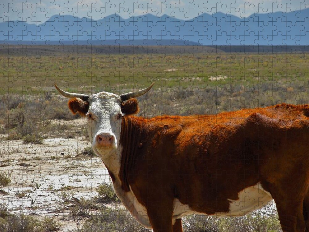 Cow Jigsaw Puzzle featuring the photograph Cow by Carl Moore