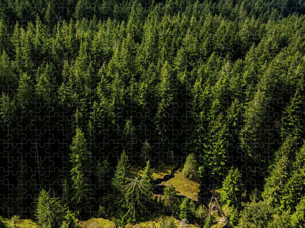 Rock Jigsaw Puzzle featuring the photograph Cracked Rock in the Woods by Pelo Blanco Photo