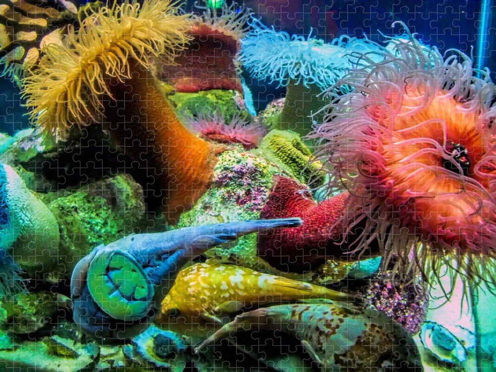 Aquarium Jigsaw Puzzle featuring the photograph Creatures of the Aquarium by Lynn Bolt