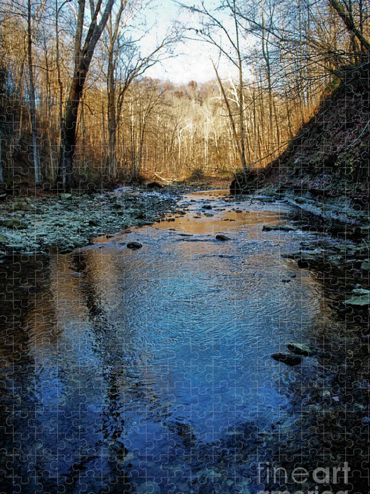 Creek Jigsaw Puzzle featuring the photograph Creek at Dusk by David Arment