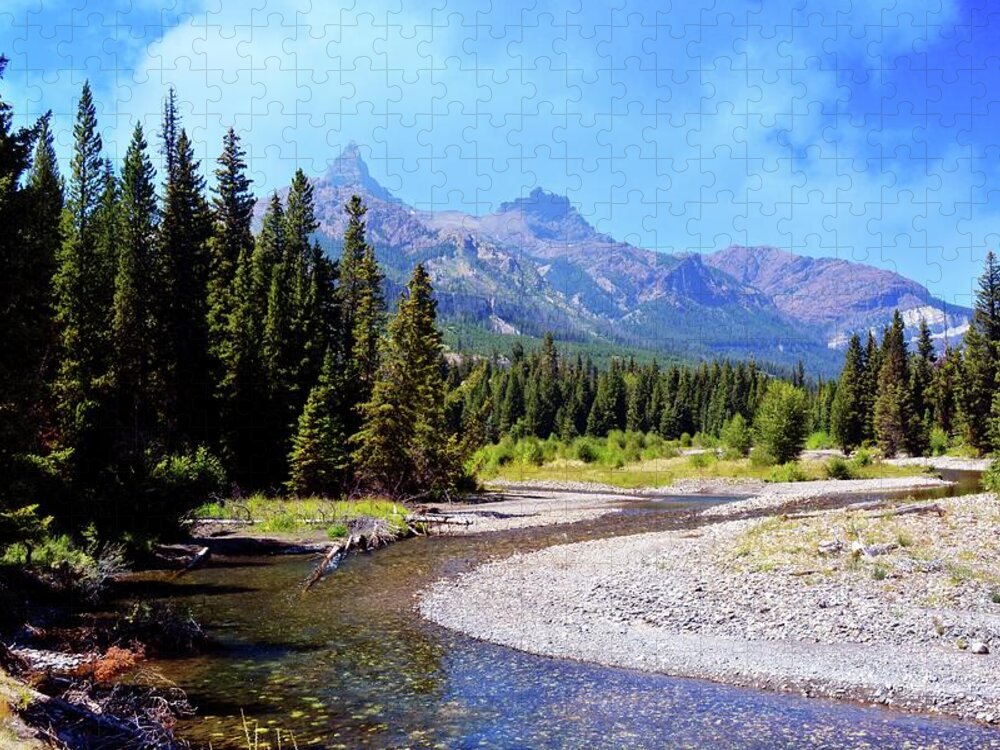 Beartooth Mountains Jigsaw Puzzle featuring the photograph Creek in the Beartooths by Marty Koch