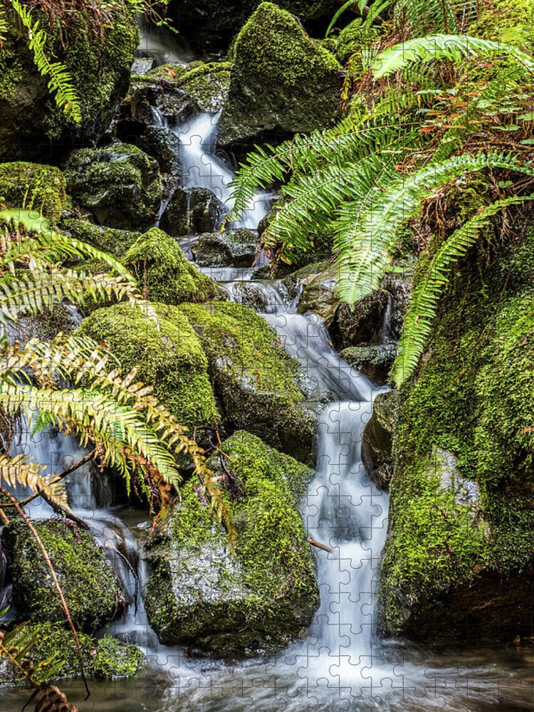 Creek In The Forest Jigsaw Puzzle featuring the photograph Creek In The Forest by Paul Freidlund