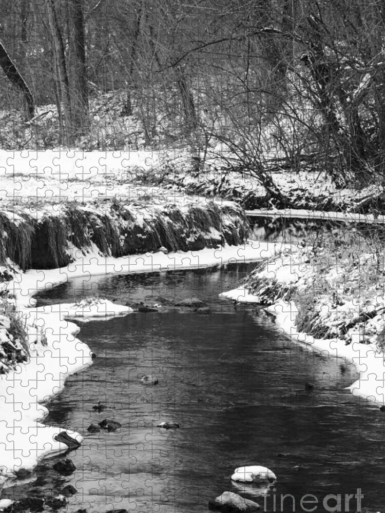Creek Jigsaw Puzzle featuring the photograph Creek In The Woods In Winter by Tamara Becker