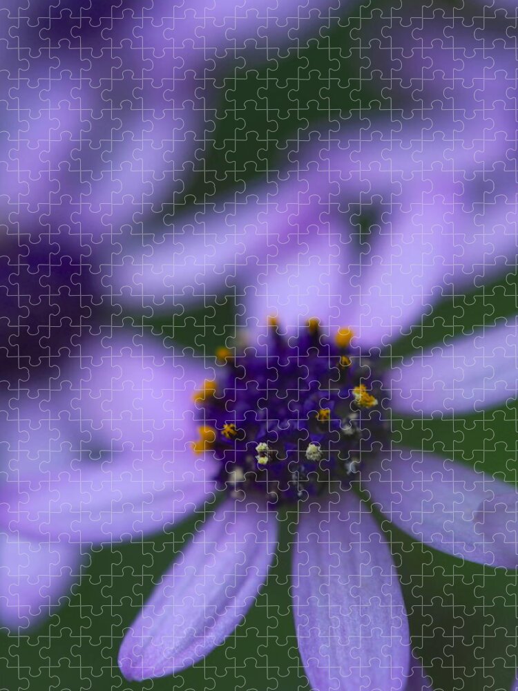 Flowers Jigsaw Puzzle featuring the photograph Crowned with Purple by Jessica Myscofski