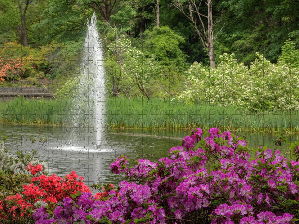 Azaleas Jigsaw Puzzle featuring the photograph Crystal Springs Rhododendron Garden 0794 by Kristina Rinell
