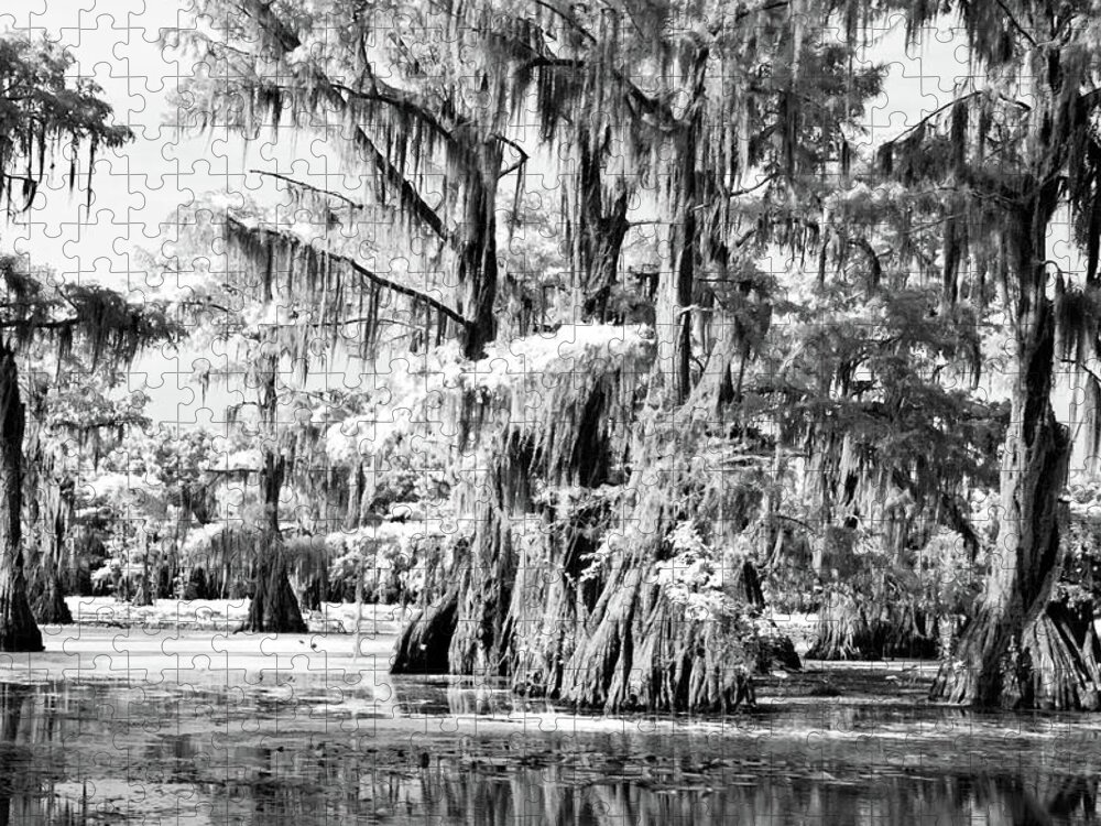 Algae Jigsaw Puzzle featuring the photograph Cypress Infrared by Lana Trussell