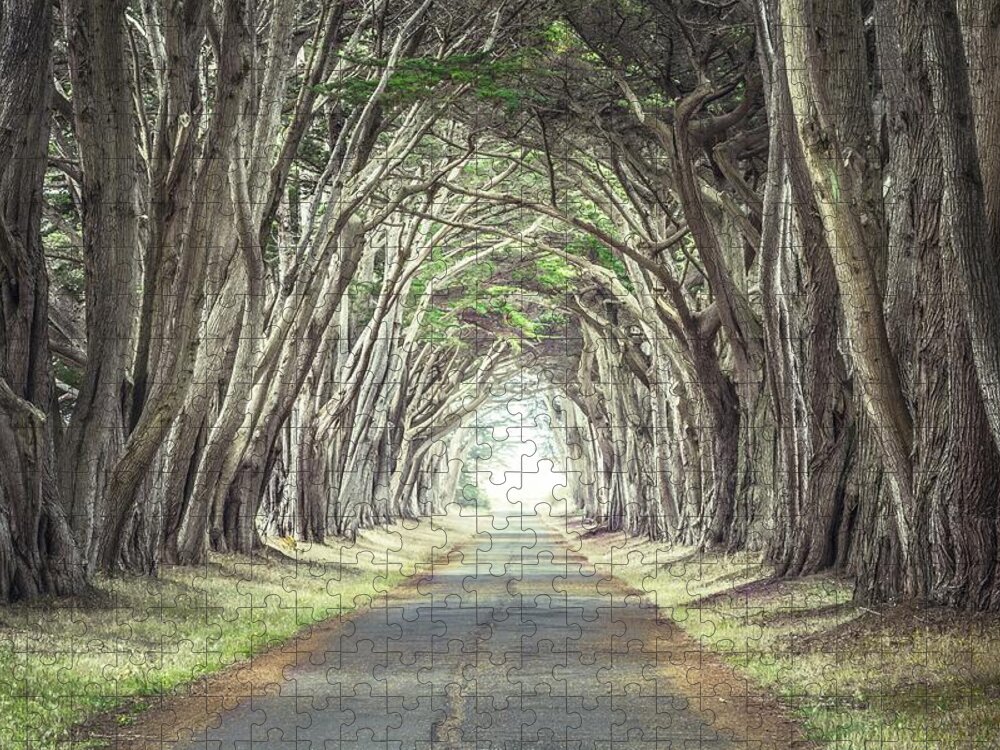 Point Reyes Jigsaw Puzzle featuring the photograph Cypress Tunnel by Alexander Kunz