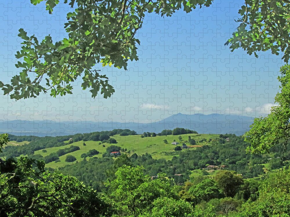 Oak Trees Jigsaw Puzzle featuring the photograph D7B6319 Oak Trees Frame SF Bar Area View CA by Ed Cooper Photography