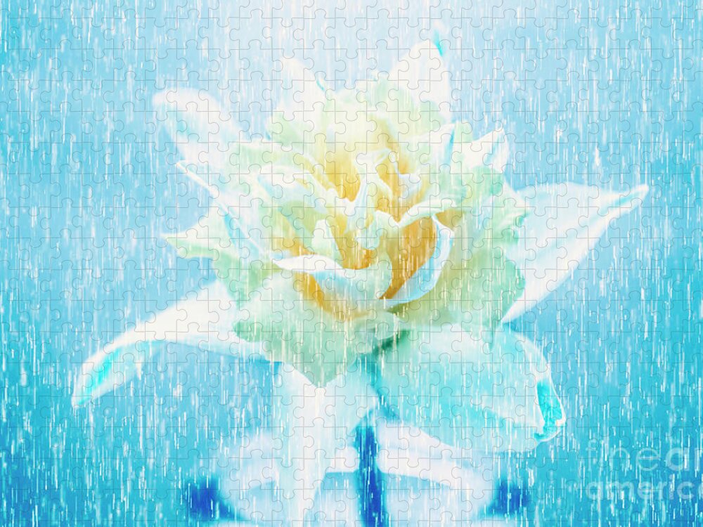 Dramatic Jigsaw Puzzle featuring the photograph Daffodil flower in rain. Digital art by Jorgo Photography