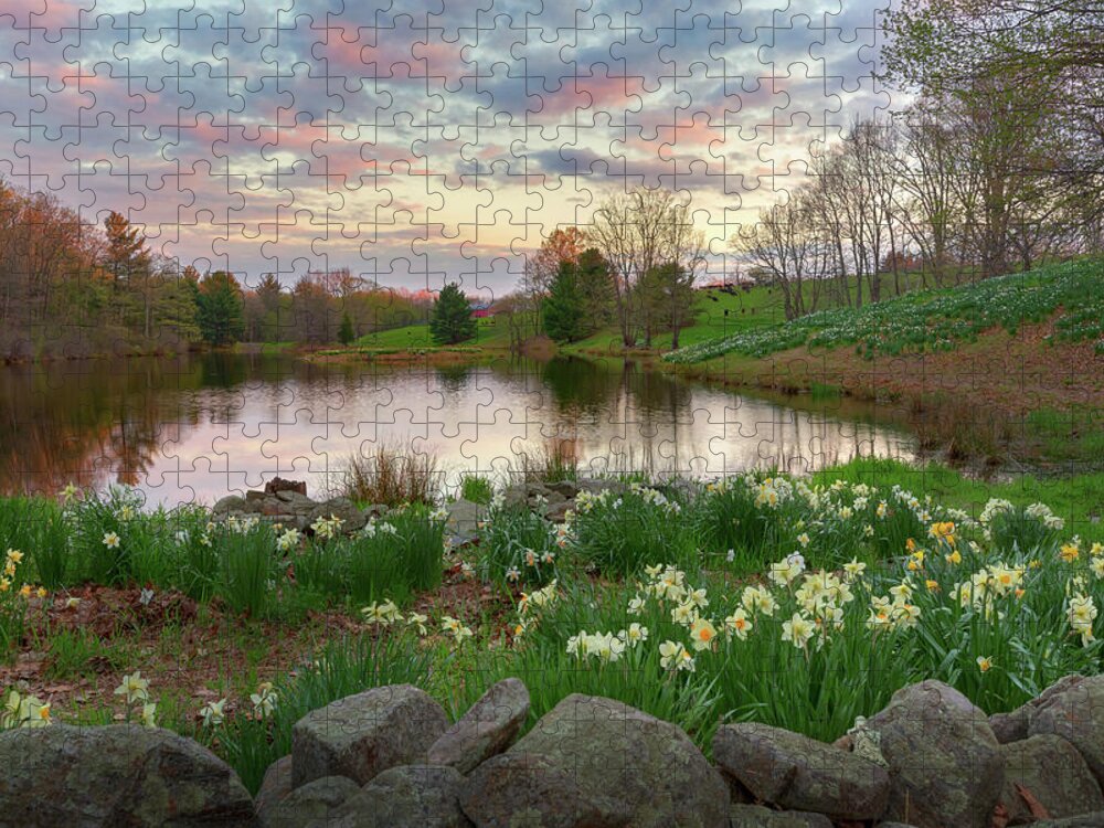 Daffodil Jigsaw Puzzle featuring the photograph Daffodil Hill Sunset by Bill Wakeley