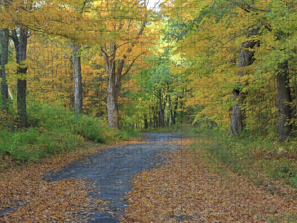 Autumn Jigsaw Puzzle featuring the photograph Dana Common Road in Autumn Quabbin Reservoir by John Burk