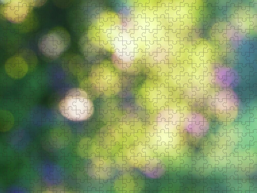 Bokeh Jigsaw Puzzle featuring the photograph Dance of Dappled Light by Tim Gainey