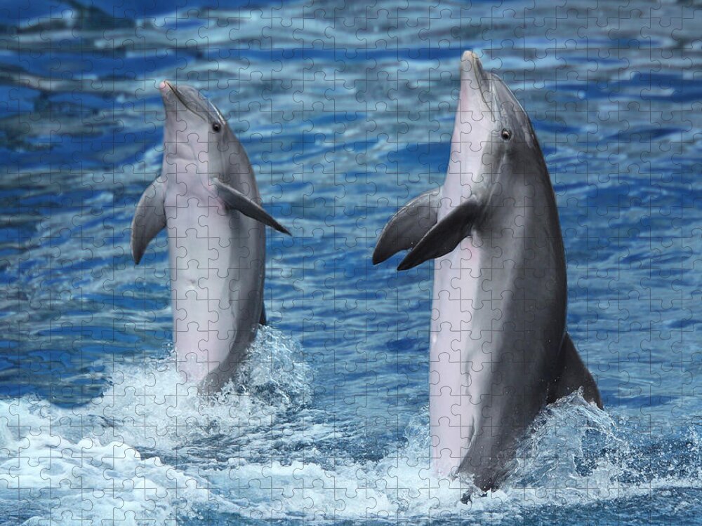 Dolphin Jigsaw Puzzle featuring the photograph Dancing Dolphins by Heike Hultsch