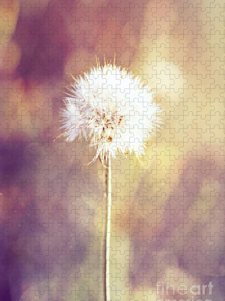 Dandelion Jigsaw Puzzle featuring the photograph Dandelion Wishes by Linda Lees