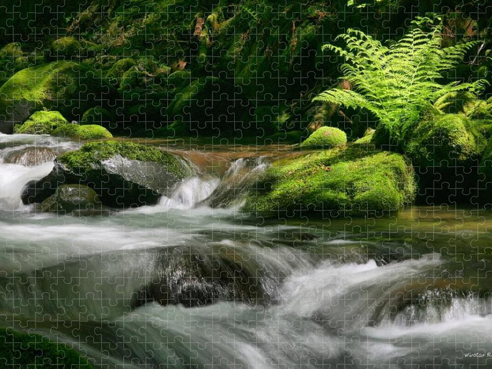 Green Jigsaw Puzzle featuring the photograph Dappled Green by Winston Rockwell