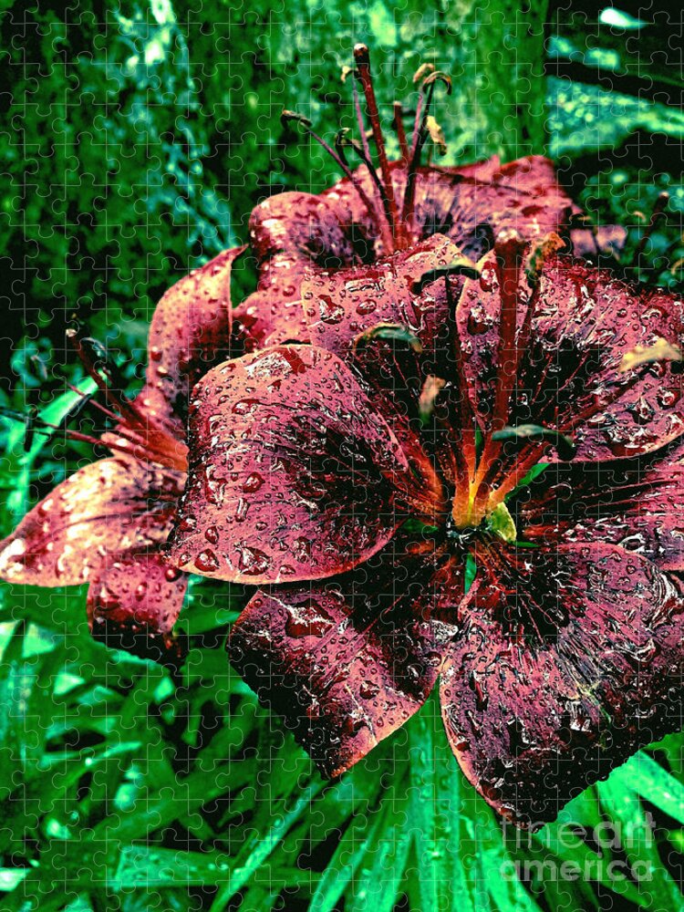 Maroon Jigsaw Puzzle featuring the photograph Dark Lily by Onedayoneimage Photography