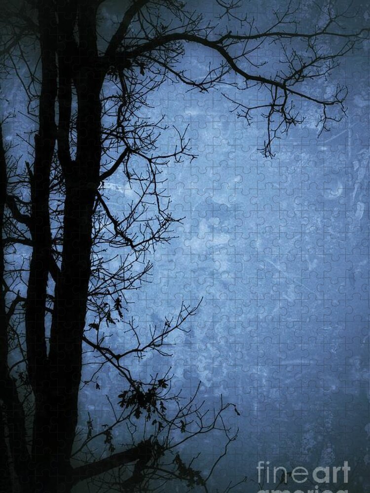 Tree Jigsaw Puzzle featuring the photograph Dark Tree Silhouette by Jason Nicholas