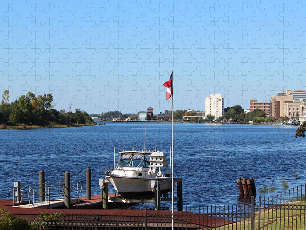View Jigsaw Puzzle featuring the photograph Daytime Beauty by Cynthia Guinn