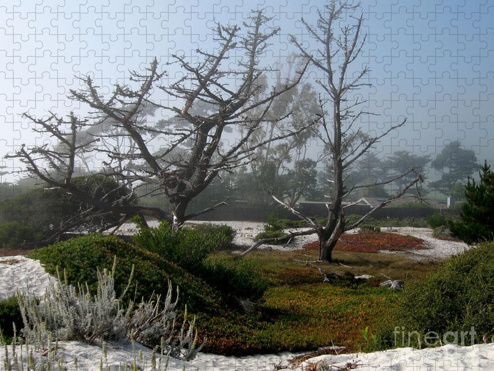 Carmel Jigsaw Puzzle featuring the photograph Dead Cypress Trees by James B Toy