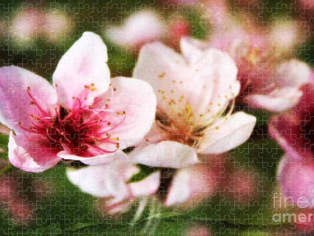 Spring Blossom Jigsaw Puzzle featuring the photograph Decadent Spring Delight by Clare Bevan