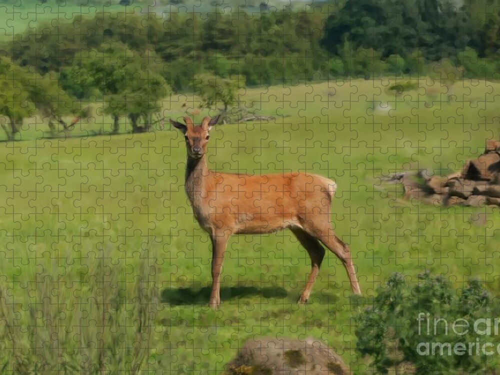 Red Deer Jigsaw Puzzle featuring the photograph Deer calf. by Elena Perelman
