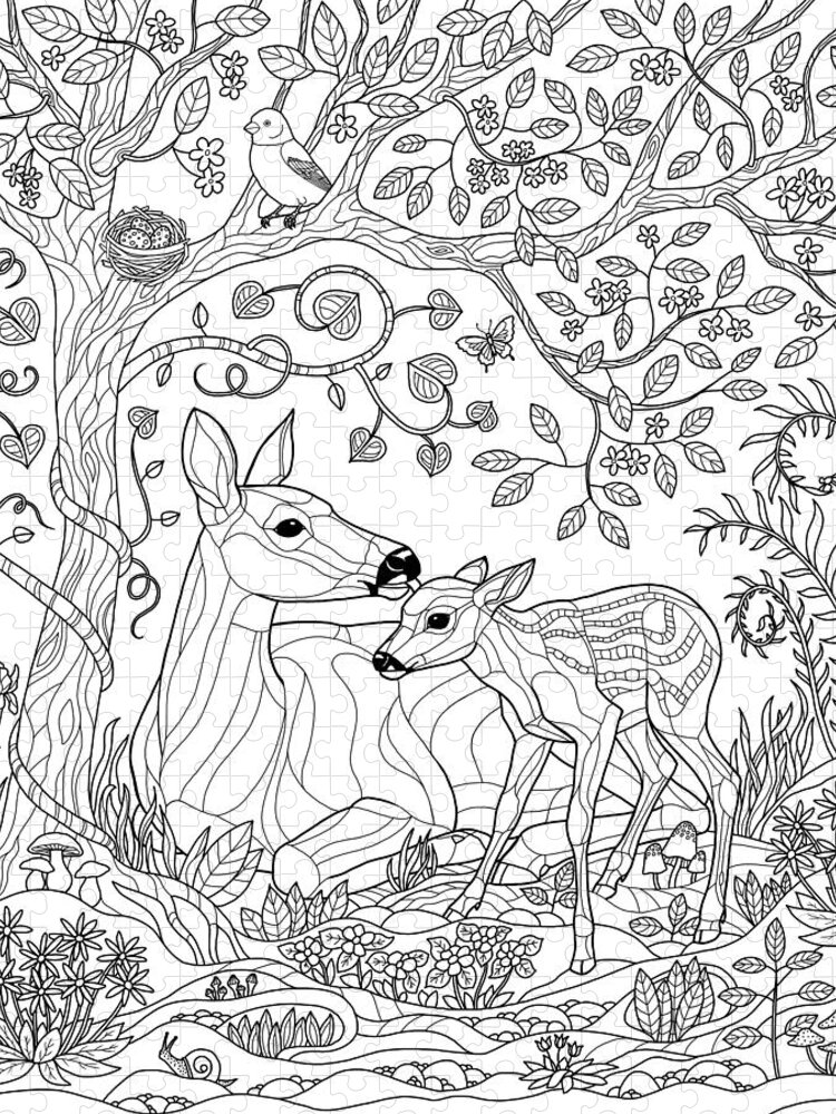 Forest Animals Coloring Book for Kids Adults Coloring Book Gift