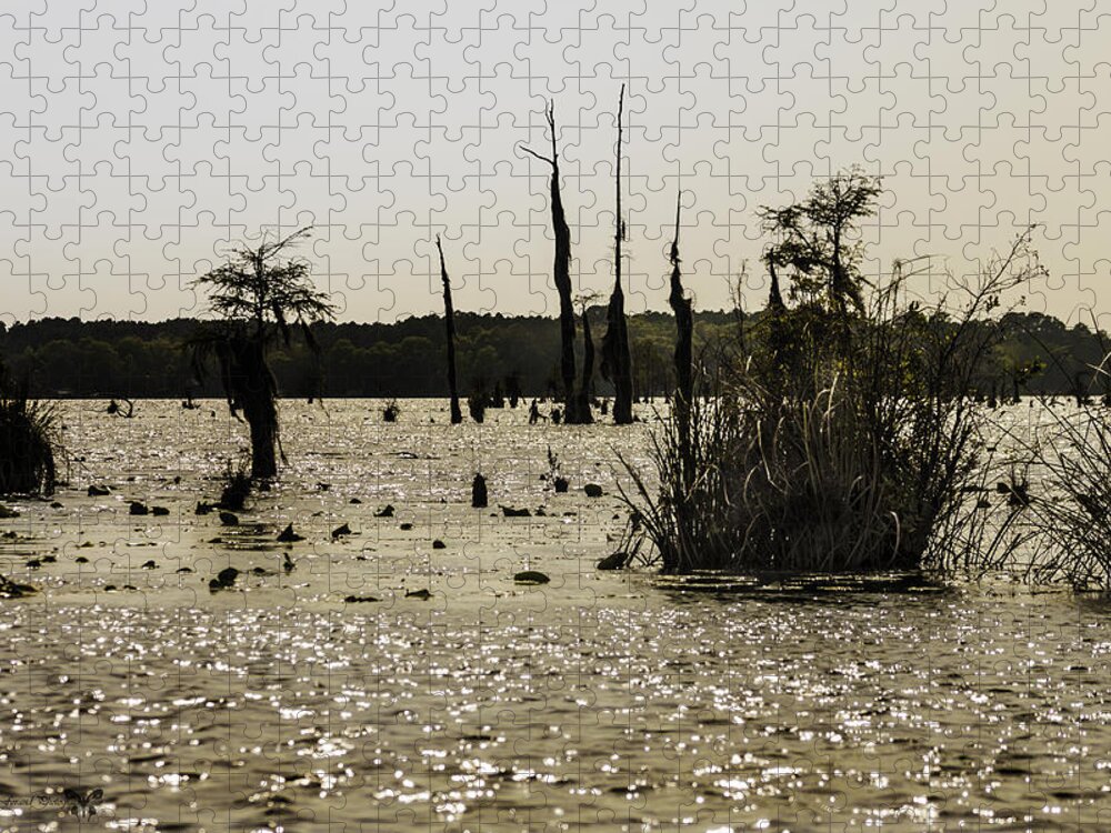 Wildlife Jigsaw Puzzle featuring the photograph Deer Point Lake At Dusk by Debra Forand