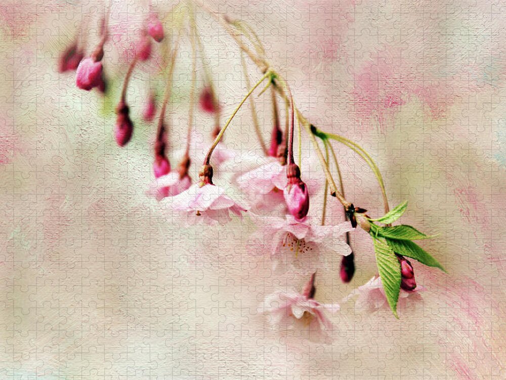 Blossom Jigsaw Puzzle featuring the photograph Delicate Bloom by Jessica Jenney